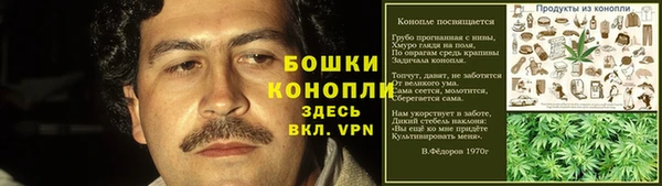 спайс Бородино