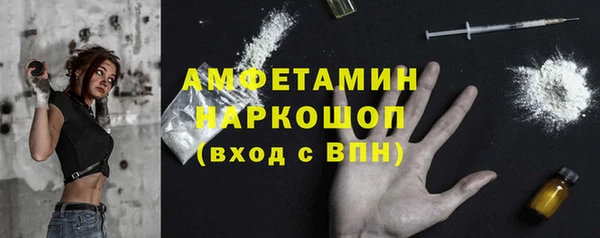индика Бронницы