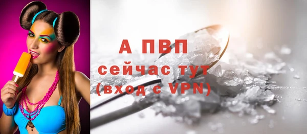 индика Бронницы