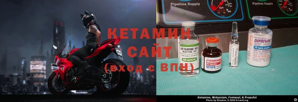 индика Бронницы