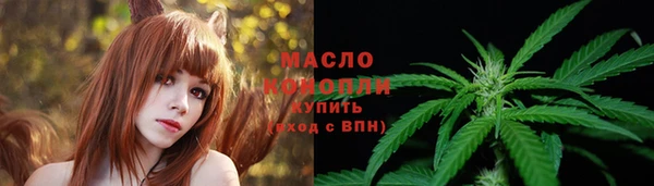 индика Бронницы