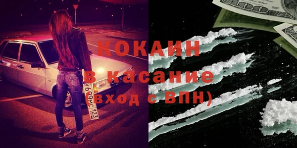 индика Бронницы
