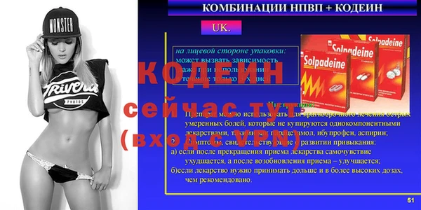 индика Бронницы