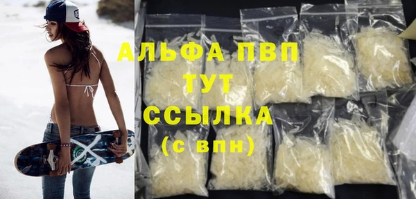 индика Бронницы