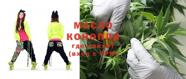 индика Бронницы