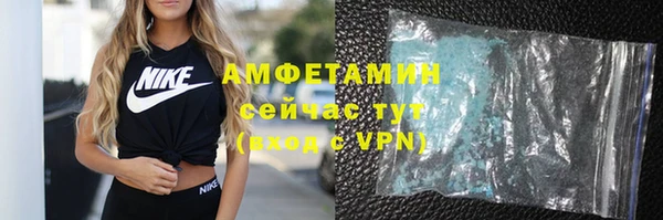 индика Бронницы