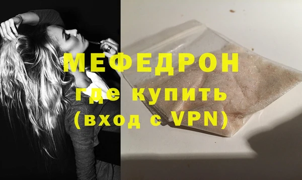 индика Бронницы