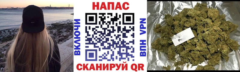 KRAKEN ссылки  где купить наркоту  Стерлитамак  маркетплейс наркотические препараты  Шишки марихуана планчик 